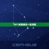 1971年属猪女一生运程，1971年属猪今年财运