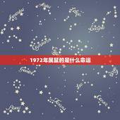 1972年属鼠的是什么命运，96年属鼠几月命不好