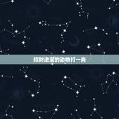 招财进宝的动物打一肖，传说中玉皇大帝的宠物那个代表“招财进宝”的类似于