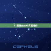 31属什么的30岁属啥的，2022 年31岁属什么