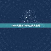 1988大林木1994山头火合婚，94年山头火和95年山头火婚配