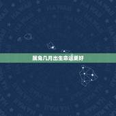 属兔几月出生命运更好，属兔几点钟出生大富大贵