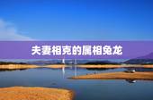 夫妻相克的属相兔龙，蛇和兔配婚姻好不好