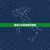 属兔今日幸运数字查询，属兔的人吉祥数字