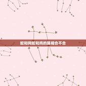蛇和狗蛇和鸡的属相合不合，属蛇的与属鸡的和属狗的那个婚配更好