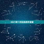 2021年11月出生的牛宝宝，2021年农历十一月出生的牛宝宝好吗