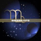 兔和蛇属相的人合不合，属兔与属蛇合不合