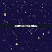 属鼠的和什么属相相配，属鼠2022 年运势及运程