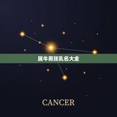 属牛男孩乳名大全，属牛男孩名字更佳字