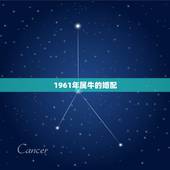 1961年属牛的婚配，61年属牛的和67年属羊的婚配如何？