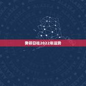 癸卯日柱2022年运势，癸巳日柱2022运程