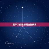 属羊人的婚姻更佳配偶男，羊年人和什么属相最配