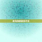 属马的属兔的合不合，属马和属兔的兄妹好不好