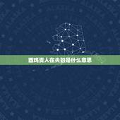 酉鸡贵人在夫妇是什么意思？贵人之妻是什么意思？