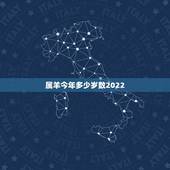 属羊今年多少岁数2022，2022属羊人全年运势女
