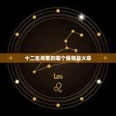 十二生肖里的哪个属相是火命，十二生肖兔是属火吗