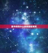 属牛的和什么属相最配相克，男属虎的和什么属相最配