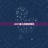 2021最火的微信网名，2021最新版的微信网名