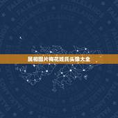 属相图片梅花姓氏头像大全，怎样用姓氏图片制作微信头像