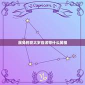 属兔的犯太岁应该带什么属相，属兔戴什么属相好