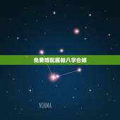 免费婚配属相八字合婚，怎样用八字合婚？