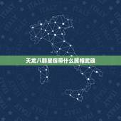天龙八部星宿带什么属相武魂，天龙八部2星宿用武魂哪个属性最好