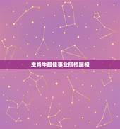 生肖牛最佳事业搭档属相，属牛和什么属相最相配 详细