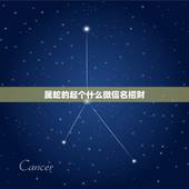 属蛇的起个什么微信名招财，属蛇的用什么微信头像，微信名最吉利？