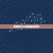 属猴和什么属相最配相克，龙的和什么属相最配相克