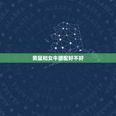 男鼠和女牛婚配好不好，男97年属牛女96年属鼠婚配好不好