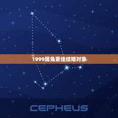 1999属兔更佳结婚对象，1999年的男性婚配