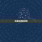 夫妻龙虎配好吗，生肖龙虎配吗