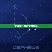 女属牛三月出生的命运，属牛农历出生月命运