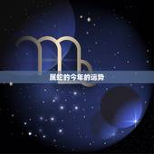 属蛇的今年的运势，属蛇人今年运气怎么样？