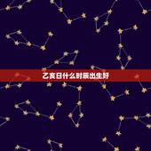 乙亥日什么时辰出生好，乙亥是什么时辰几点钟