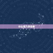什么是八字合婚，八字合婚都说哪些内容