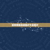 翡翠貔貅高清图片大全图片，翡翠貔貅吊坠？