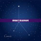 摩羯座下周运势如何，摩羯座本周运势