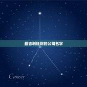 最吉利旺财的公司名字，做生意红火的微信名字是什么？