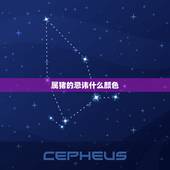 属猪的忌讳什么颜色，属猪什么颜色最吉利