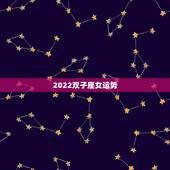 2022双子座女运势，双子座女生今年运势