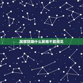 属猴结婚什么属相不能相见，属猴的人结婚忌讳什么属相
