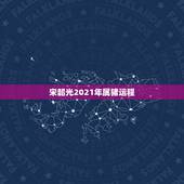 宋韶光2021年属猪运程，1971年属猪2021年运势及运程