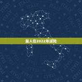 鼠人在2022年运势，2021年属鼠人的全年运势1972出生