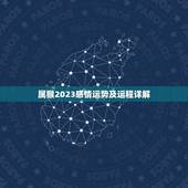 属猴2023感情运势及运程详解(爱情路上稳步前行)