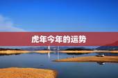 虎年今年的运势，2022年属虎人的命运
