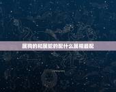 属狗的和属蛇的配什么属相最配，属蛇的和属狗的配不配