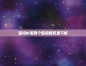 属相中哪两个属相婚配最不好，那两个属相最相配？