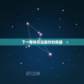 下一年桃花运最好的属相，1988属龙2023年每月情感分析？