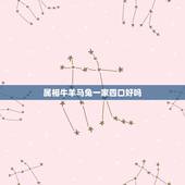 属相牛羊马兔一家四口好吗，一家三口生肖属马羊牛好吗